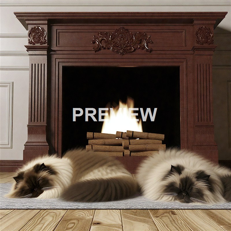 2himalayan-cat-sleeping-in-front-of-a-wooden-fireplac (1)_250320032639_Filename Text 2_00073_Filename Text 3_result